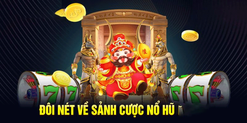 Giới thiệu sơ lược về sảnh nô hũ